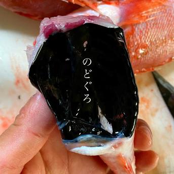 高級魚★ノドグロの干物10P(10〜20尾) のどぐろ10P(10-20尾) 魚介類/のどぐろ通販