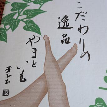 大和芋（イチョウ形）泥付き約2キロ　群馬県尾島産 約2.0キロ 野菜/長いも・山いも通販