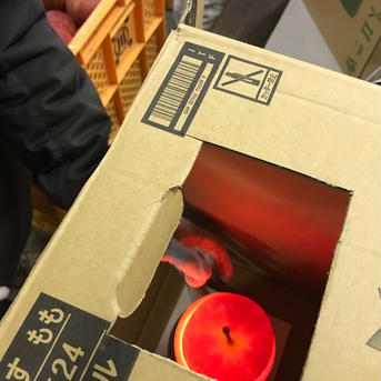 ギフト特選樹上完熟蜜入サンふじ3k9-12玉入　蜜入チェック済み 3キロ9-12玉入 果物/りんご通販