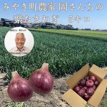 佐賀県みやき町農家 岡さんちの紫たまねぎ5キロ ｜ 野菜/玉ねぎ 産直