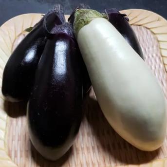なす・白なす　食べ比べセット♪ 2kg 2kg（なす：12本～15本　白なす：6本） 野菜/茄子通販
