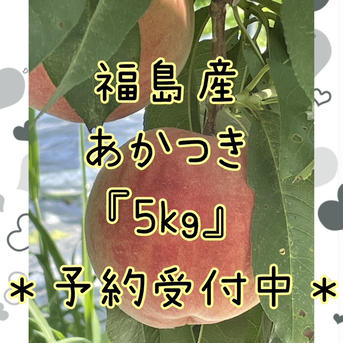 福島県産 もも 『あかつき又はまどか』常温発送 もも 果物/もも通販