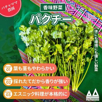 パクチーページ 香りが違う！採れたて新鮮パクチー1kg｜エスニック料理に