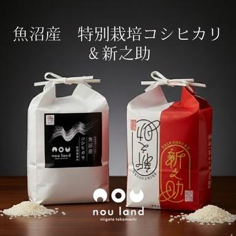 魚沼産 特別栽培コシヒカリと新之助 各5kg×1 【食べ比べ】 ｜ 米・穀物