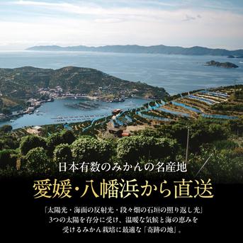 新品種】甘平×まどんな 紅プリンセスと同品種 家庭用 5kg×2箱 愛果48号