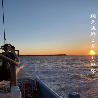 【旬祭限定】活ながらみ(小サイズ)２KG九十九里産 活ながらみ【２k】小サイズ 魚介類/その他貝類通販