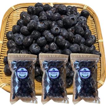 大粒冷凍ブルーベリーたくさん1.5ｋｇ(500g×3袋） 1.5㎏（500ｇ×3袋） 果物/ベリー類通販