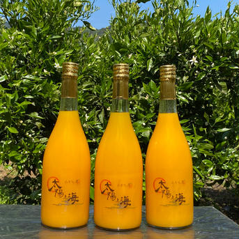 太陽と海の🍊ブレンドジュース2本セット🍊 720ml×2 飲料/ジュース通販