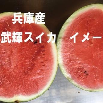 兵庫産　夏武輝　大玉スイカ　6400g 訳あり ６４００ｇ 果物/スイカ通販