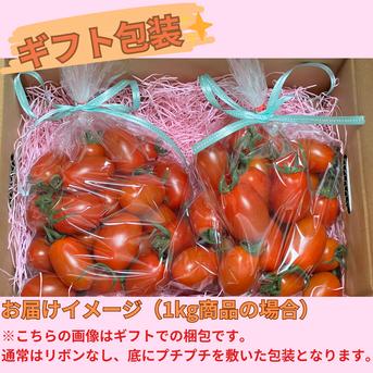 【絶品‼︎】皮がパリッとジューシーなアイコ（1キロ） アイコトマト（１キロ） 野菜/トマト通販