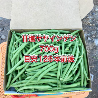 【鹿児島産】甘塩サヤインゲン箱込み700g^_^ 箱込み700g前後 野菜/豆類通販