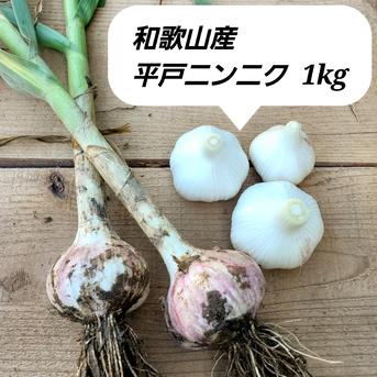 和歌山産 平戸ニンニク1kg 大サイズ 農薬化学肥料不使用 新にんにく 