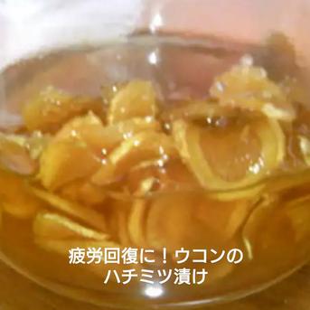 秋ウコン(生) 800グラム位 野菜/スパイス通販