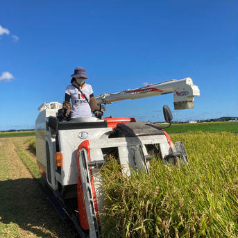 玄米24kgミルキークイーン2020年茨城県産 24kg 米・穀物/玄米通販