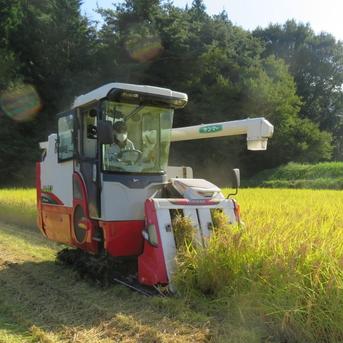 令和7年長野県産 奇跡のお米ゆうだい21 ミネラル仕上げ 炊飯食味値92