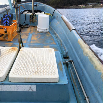 素潜り天然赤ナマコ2㎏ 2㎏（6個） 魚介類/ナマコ通販
