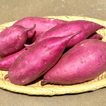 新芋 サツマイモ おすすめ 芋 10 さつまいも 安納芋 10キロ 新芋 新芋