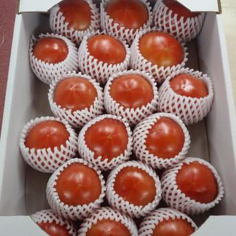 大箱(大玉トマト約4kg) 4kg 野菜/トマト通販