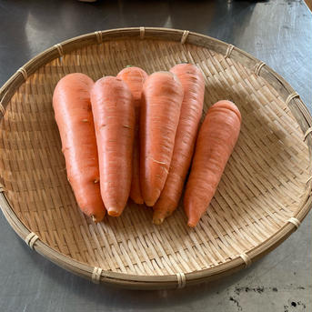 【5周年限定】甘い大玉キャベツと根菜5種の詰め合わせ 6〜8kg 野菜/野菜セット・詰め合わせ通販