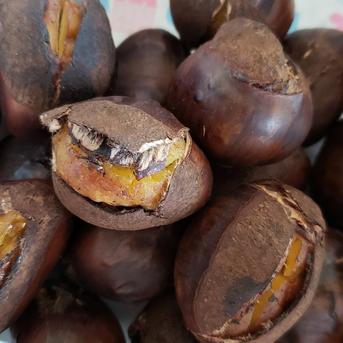 甘い品種の自然栽培 栗】 筑波栗 自然栽培 900g | 果物/栗 産直アウル