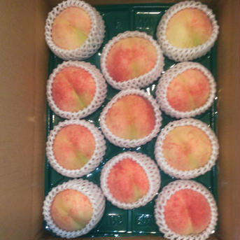 🍑小玉でも🍑やっぱり旬のもも🍑【3kg箱】 約2.5~3kg(11~12玉) 果物/もも通販