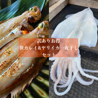 【訳ありお得】ヤリイカ一夜干し&笹カレイの干物セット 【訳ありお得】ヤリイカ一夜干し&笹カレイ 魚介類/その他魚介通販