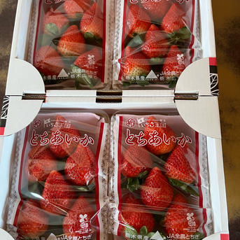 ⭐︎いちご農家より直送！とちあいか　規格外詰め合わせ　4kg 送料込⭐︎ No.11 亀田農園のとちあいか ｜ 果物/いちご 産直アウル 農家・漁師など生産