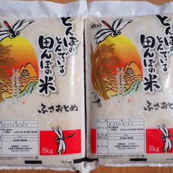 新米 令和7年産 ふさおとめ 無洗米 10kg ｜ 米・穀物/無洗米 産直 