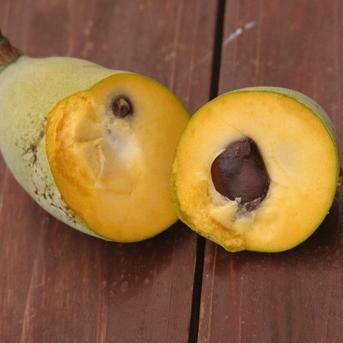 お求めやすく　幻のポポー 6kg 冷凍　送料込 幻のポポー 6kg 冷凍
