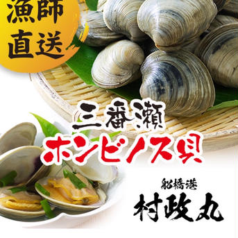 船橋三番瀬ホンビノス貝　千葉ブランド水産物認定品　1個50g〜100g  1kg 1kg 魚介類/ホンビノス通販