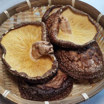香信（こうしん）大葉 90g（30g✕3個）原木乾しいたけ 大分県国東産