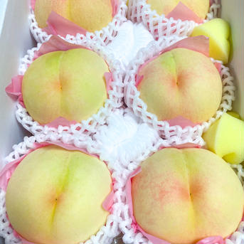 岡田様専用家庭用夢白桃2kg×2箱 2kg×2箱 果物/もも通販