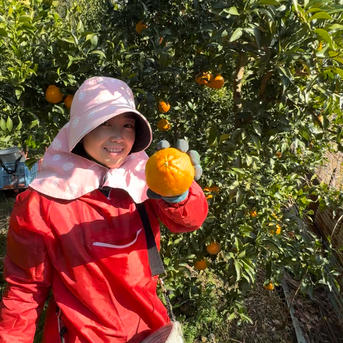 不知火デコ 4.5キロ | 果物/オレンジ・その他みかん 産直アウル 農家