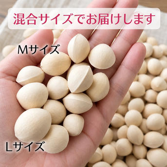 訳アリ＊お買い得】祖父江産 銀杏〈藤九郎〉混合サイズ ｜ 野菜/その他