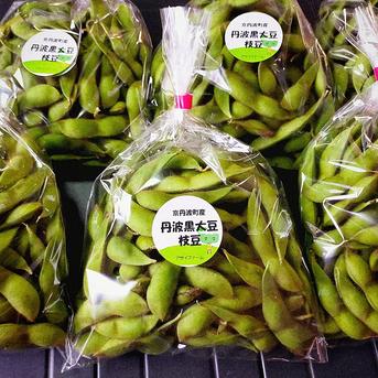 まめ ②10月18日〜21日発送 黒豆の枝豆 4.2kg(350g×12袋) 丹波黒大豆の枝豆