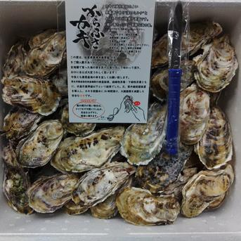 【感謝祭】今シーズンの食べ納め・からふさカキ １０キロ箱 魚介類/牡蠣通販