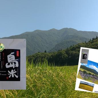 【R8年産新米20kg】“白銀のコシヒカリ” 自家栽培低農薬 農家直送 高知県産 新米R8年産 特別栽培米 幻のコシヒカリ 最上流の上級米白米3k ｜ 米