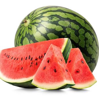 くまもと食彩の力 産地直送 熊本 すいか 1玉 約4Kg 2Lサイズ以上 特A優品【001】 西瓜  熊本県産 果物 フルーツ ギフト プレゼント用【バイヤー推奨商品】 1玉 約4Kg 箱込み 果物/スイカ通販