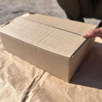 《2024年最後！》粒粒！緑も黄色も詰め詰めシャインマスカット！（ご家庭用、1.5kg） 1.5kg 果物/ぶどう通販