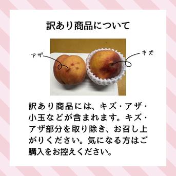 44 信州産 早生ワッサー家庭用3キロ2箱 44 早生ワッサー家庭用