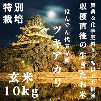 収穫から3日~7日以内の【 生きたお米 】農薬&化学肥料80%以上大幅減