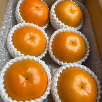 和歌山県の新オリジナルブランド柿 紀州てまり | 果物/柿 産直アウル