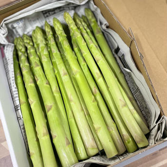 【飲食店向け】期間限定値段うえむら農園の減農薬アスパラガスLサイズ 5kg 野菜/アスパラガス通販