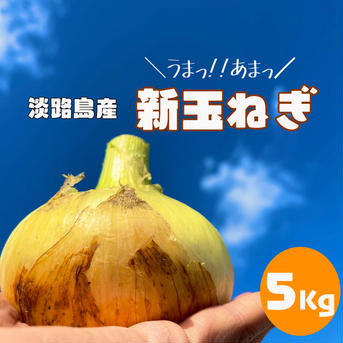 『予約販売』【予約特典付】【新玉ねぎ】淡路島スイートオニオン5kg　おまけ増量 5kg 野菜/玉ねぎ通販