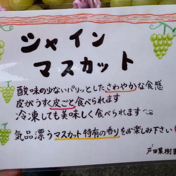 シャインマスカット家用2kg3から5房愛媛県西条市産 ご家庭用 ｜ 果物