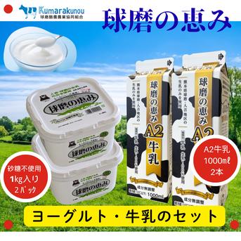 A2牛乳・無糖YGセット(球磨の恵み) ｜ 乳製品/牛乳 産直アウル 農家