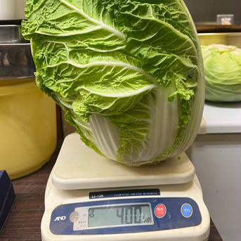 美味しさびっくり円城白菜！7kg以上 7kg以上 野菜/白菜通販