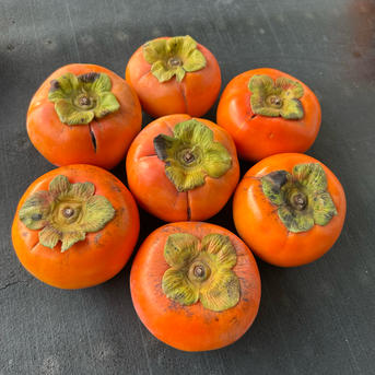 富有柿 ご家庭用 訳あり 箱込み6キロ | 果物/柿 産直アウル 農家から