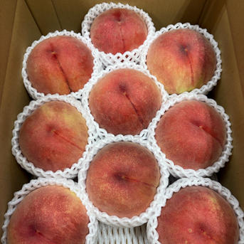 桃 ☆幸茜☆さちあかね《家庭用》 山形県産 3キロ『8玉〜10玉入り』×2