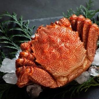 今シーズン初物 ボイル 冷凍毛蟹 1kg（1kgあたり4〜5杯） | 魚介類